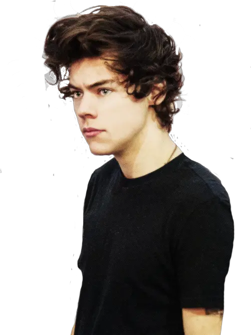 Harry Styles Png 2013 Image Harry Styles No Background Harry Styles Png