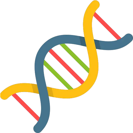 Samiur Rahim Dna Free Icon Png Dna Colorful Icon