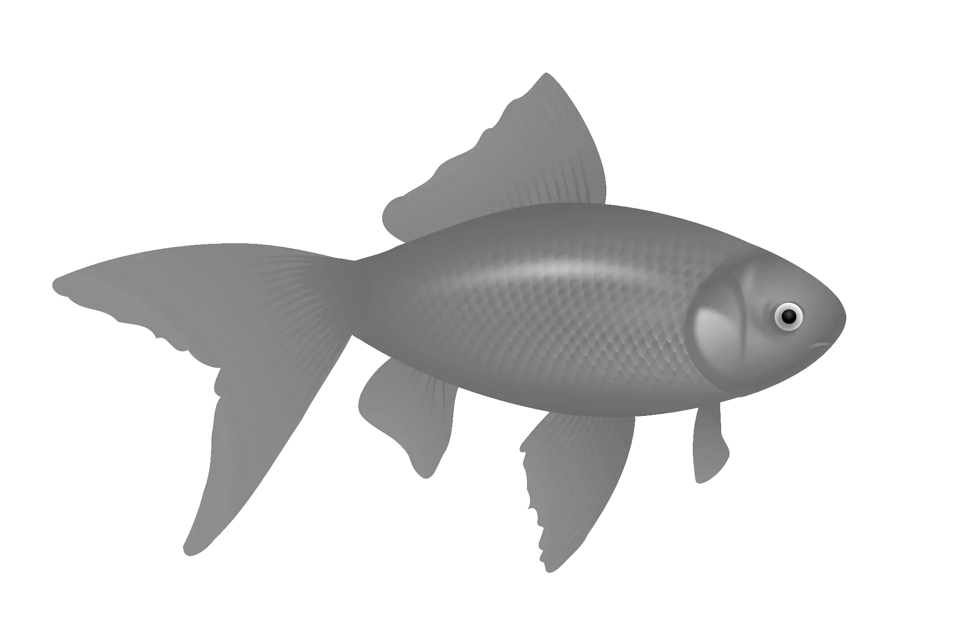 Empty Fish Tank Png