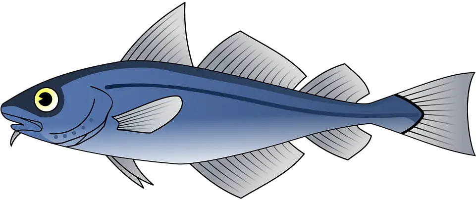 Cat Fish Png