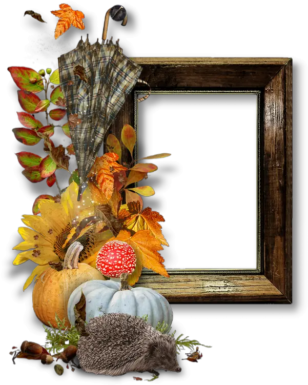 Cadre Automne Png Cluster Fall Autumn Frame Blog Fall Frame Png