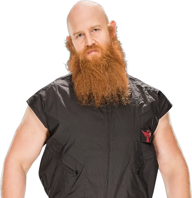 Run The Rise Stagnation And Rebirth Of Wyatt Family Erick Rowan Png Bray Wyatt Png