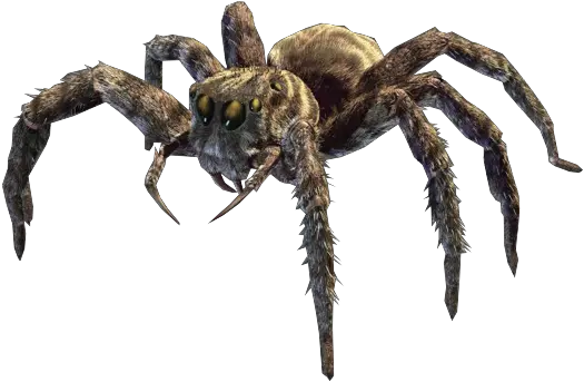 Download Hd Jumping Spider Png Image Eight Legged Freaks Eight Legged Freaks Png Spider Png