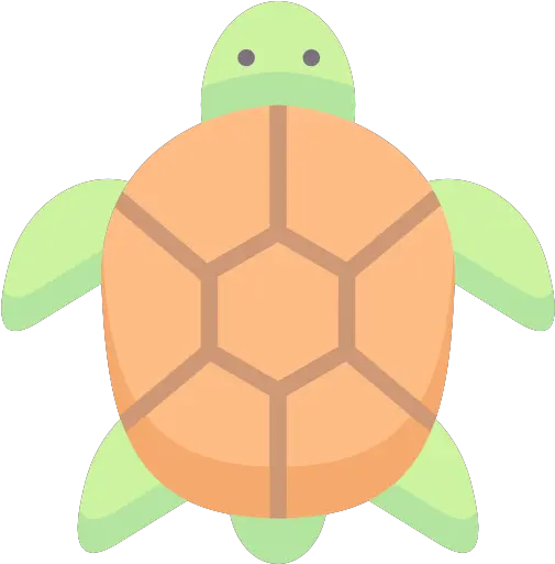 Turtle Free Animals Icons Tortoise Png Turtle Shell Icon