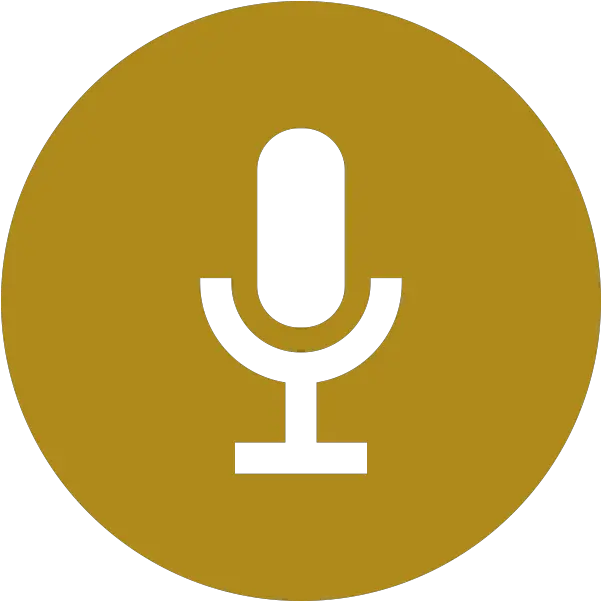 Lessons The Vox Circle Mic On Icon Png Microphone Icon Android