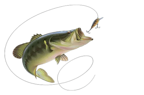 Dead Fish Png