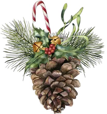 Watercolor Pine Cone With Holiday Decor Botanical Christmas Watercolor Paintings Png Pine Cone Png