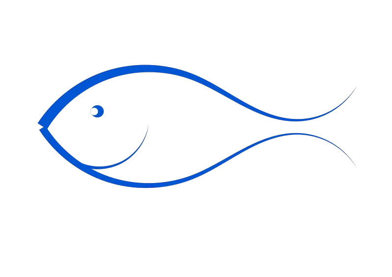 Fish Png Transparent