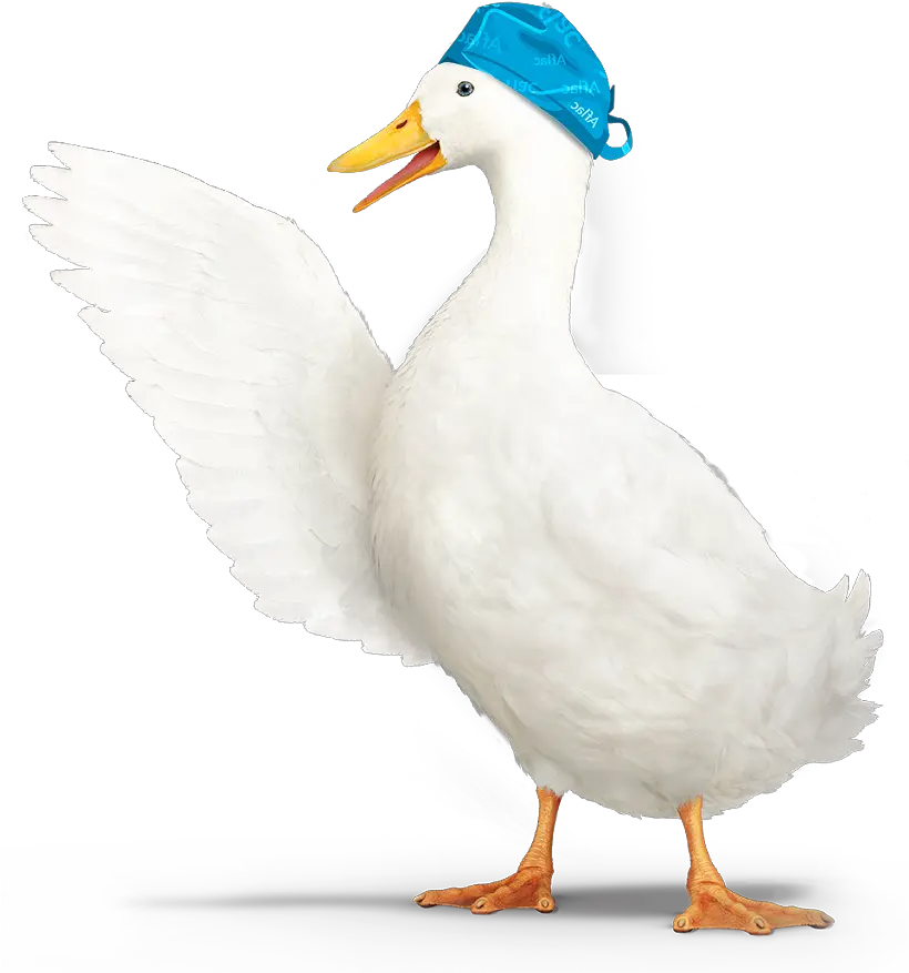 Aflac Duck Png Hd Aflac Duck Png Duck Png