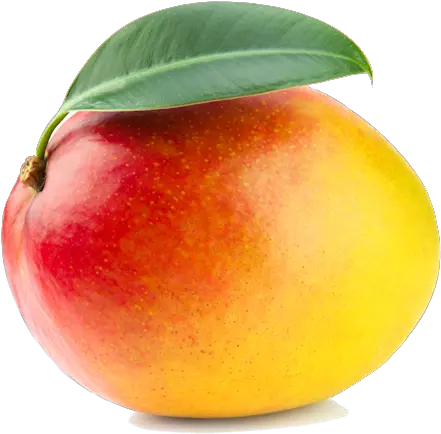 20 Mango Fruit Png Transparent Images Mango Hd Fruit Png Images