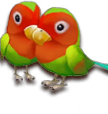 Lovebirds Paradise Bay Wikia Fandom Lovebird Png Love Birds Png