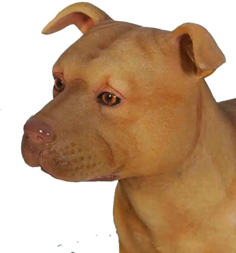 Pitbull Dog Png Guard Dog Pit Bull Png