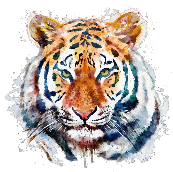 Tiger Face Png Painting Tiger Watercolor Tiger Face Png