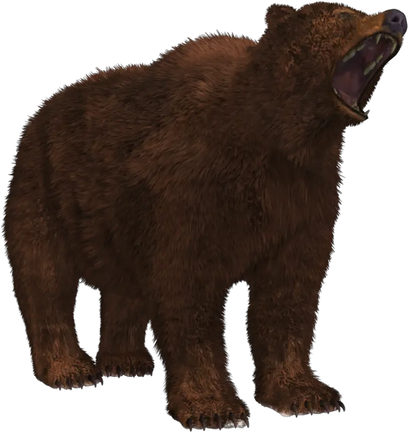 Download Free Bear Png 8 Icon Favicon Png Peninsular Grizzly Bear Transparent Brown Bear Png