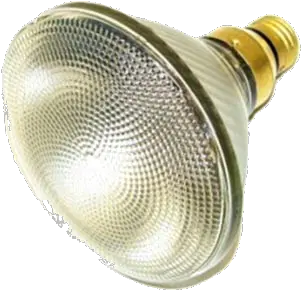 Spotlight Bulbs Outdoor Ned Stevens Bulb Spotlight Png Spot Light Png