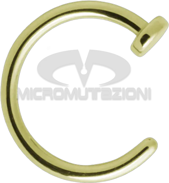 Gold Titanium Open Nostril Ring Nose Piercing Png Nose Ring Png