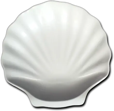 Hnh U2013 Melamine Shell Platter White Scallop Png Shell Png