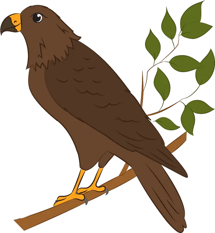 Hawk Clipart Clipart Images Of Hawk Png Hawk Png