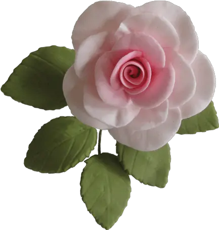 Sugar Flowers Gallery U2013 Workshop Garden Roses Png Single Flower Png