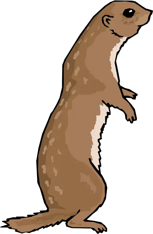 Otter Png File Cartoon Otter Standing Up Otter Png