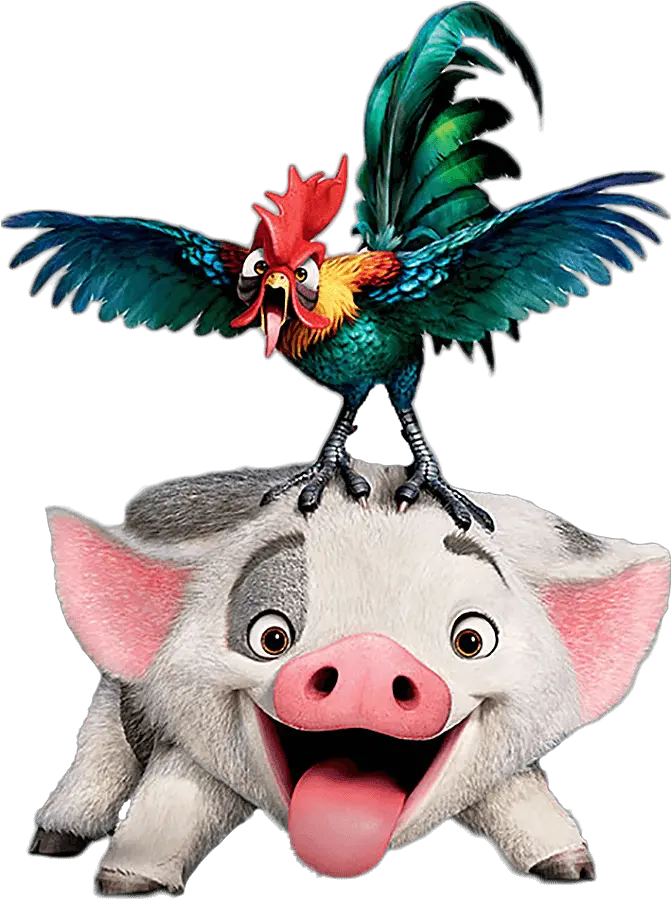 Pua Moana Png 82 Hei Hei Moana Png Moana Png Images