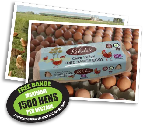 Home Rohdeu0027s Free Range Eggs 1500 Hens Per Hectare Png Egg Transparent