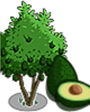 Avocado Tree Png U0026 Free Treepng Transparent Images 3d Avocado Tree Png Avocado Png