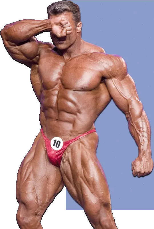 He Saw Arnold Schwarzenegger Arnold Schwarzenegger At 12 Png Arnold Schwarzenegger Transparent