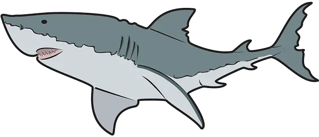 Shark Clipart Transparent Background Great White Shark Clip Art Png Shark Clipart Transparent Background