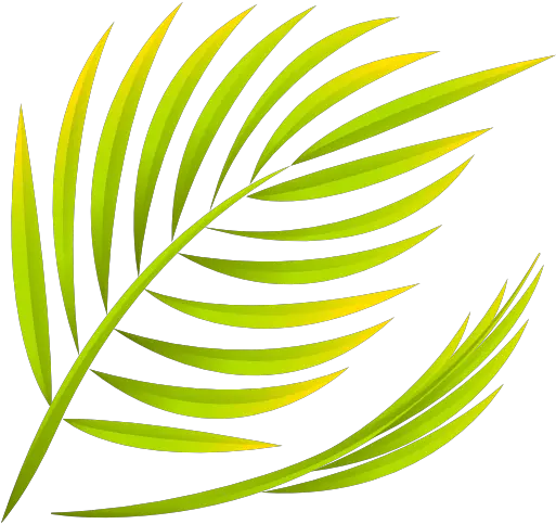 Palm Free Nature Icons Vertical Png Lent Icon