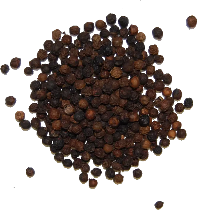 Black Pepper Png Images All Black Pepper Pepper Png