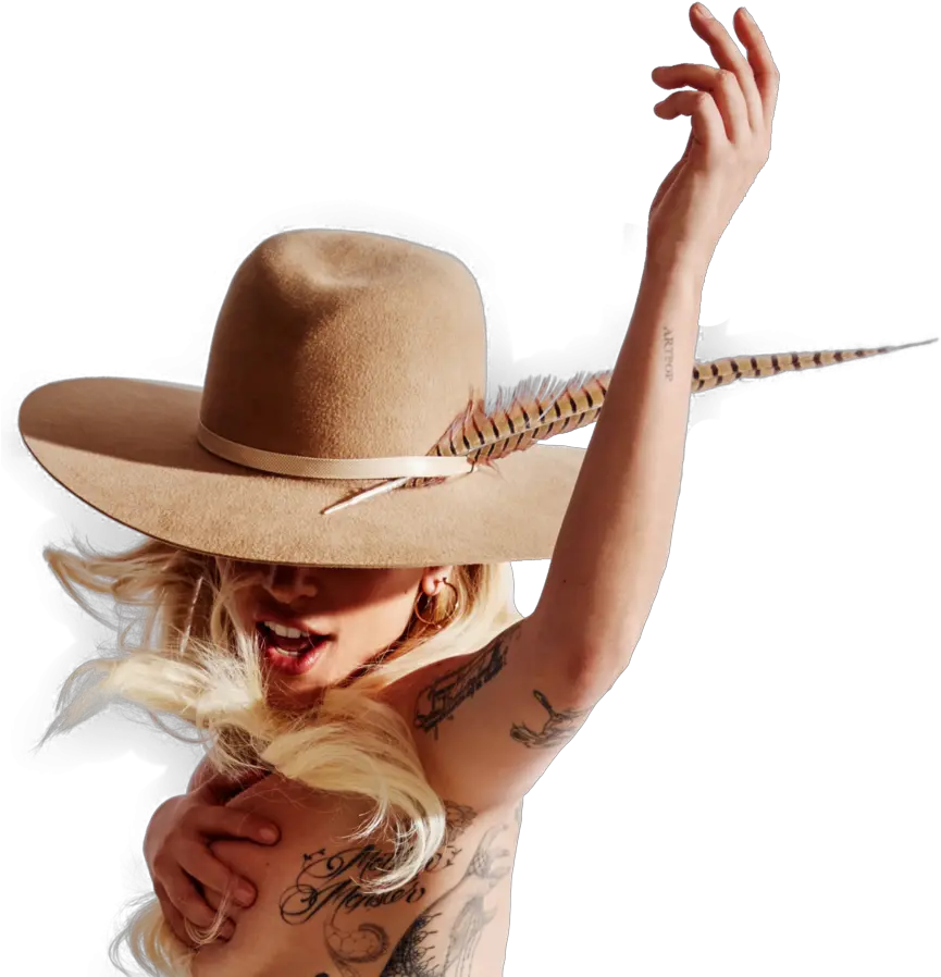 Lady Gaga Joanne Png 7 Image Lady Gaga Joanne Photoshoot Lady Gaga Transparent