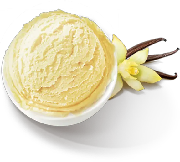 Helado De Vainilla 5l Vainilla Png Vanilla Ice Cream Png