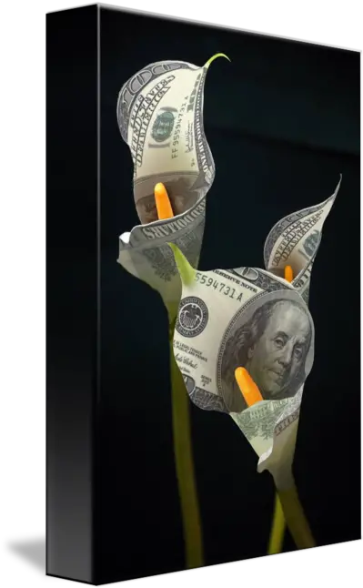 Calla Lilly 100 Dollar Bills By John Bradley Cash Png 100 Dollar Bill Png