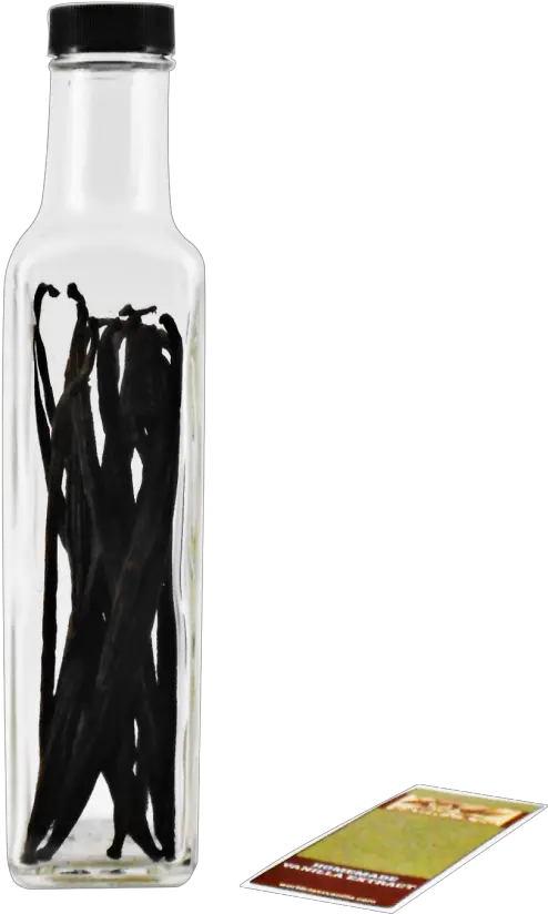 Tahitian Homemade Vanilla Extract Starter Kit Glass Bottle Png Vanilla Extract Png