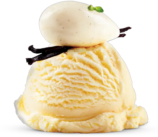 French Vanilla Png Image Ice Cream Vanilla Png Vanilla Png