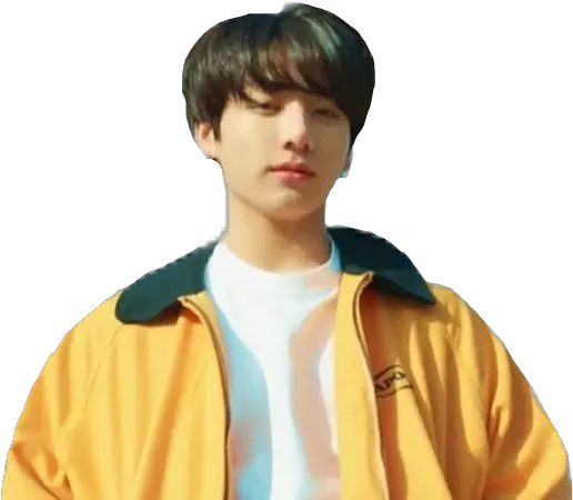 Transparent Jungkook Sticker Picture Bts Jungkook Euphoria Png Jungkook Png