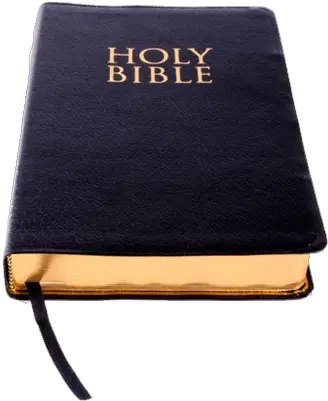 Holy Bible Clipart Transparent Png Bible Png Bible Clipart Png