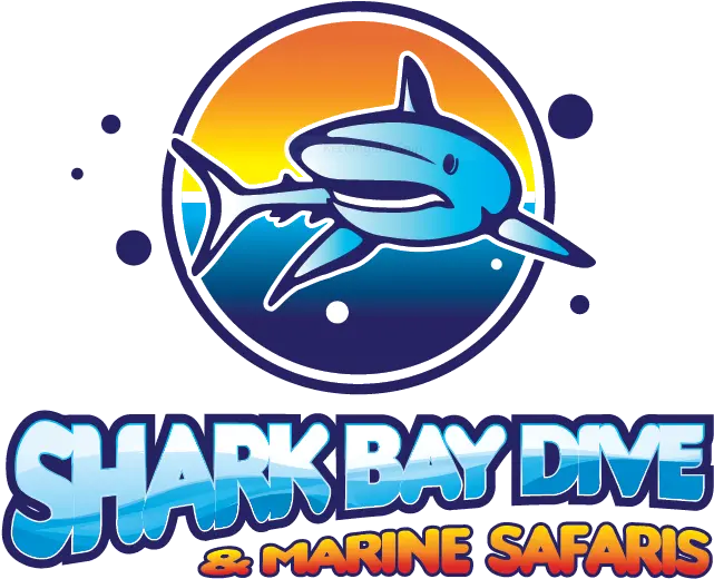 Shark Bay Dive And Marine Safaris Experience Explore Ocean Park Aquarium Shark Bay Png Shark Transparent