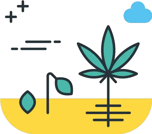 Cultivation Cannabis Erp Software Sap Weed Pack Icon Png Pot Leaf Icon