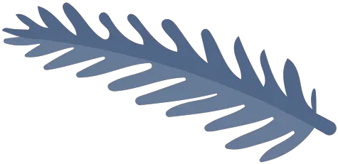 Pine Tree Branch Element Transparent Png U0026 Svg Vector File Illustration Pine Tree Branch Png