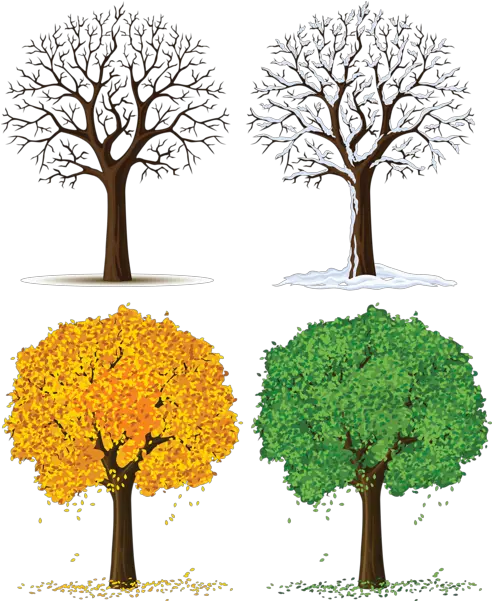 Four Seasons Trees Png Clipart Strom