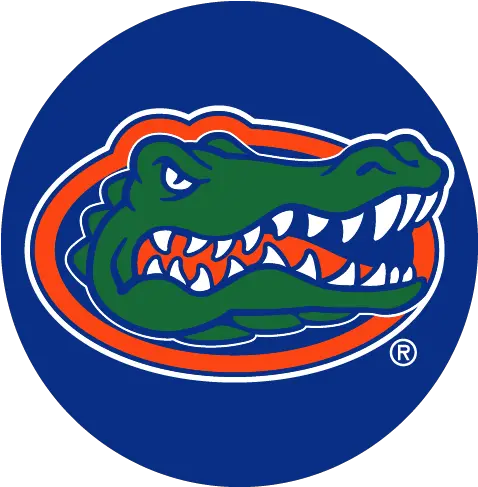 Florida Gators Football Transparent Png Uf Redbubble Stickers Florida Gators Png