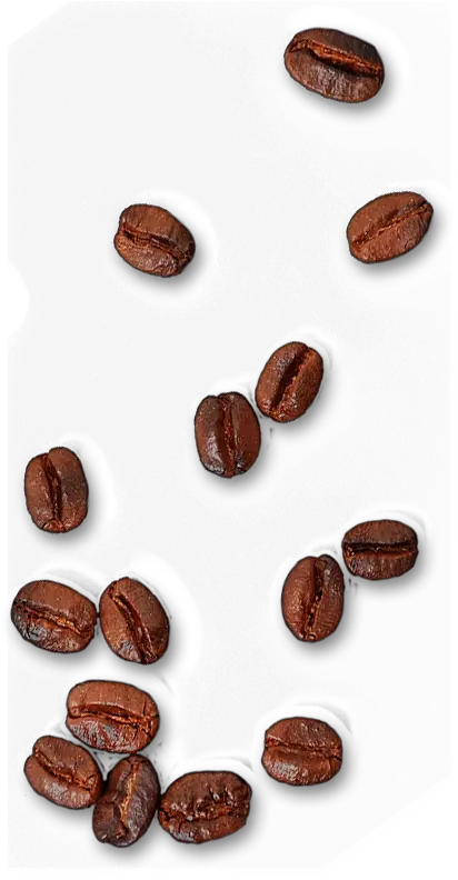 Single Coffee Bean Png 4 Image Coffee Bean Png Bean Png