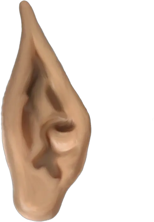 Ears Png 7 Image Elf Ears Png Ears Png