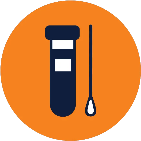 Utep Coronavirus Proactive Testing Program Laboratory Equipment Png Test Results Icon