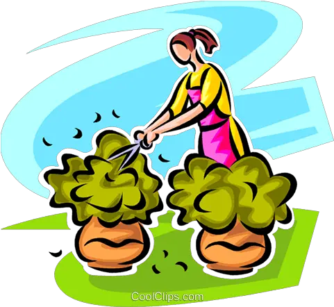 Woman Pruning Shrubs Royalty Free Vector Clip Art Clip Art Png Shrubs Png