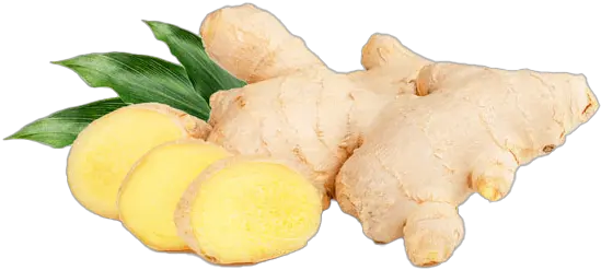 Ginger Png Pic Background Ginger Transparent Background Ginger Png