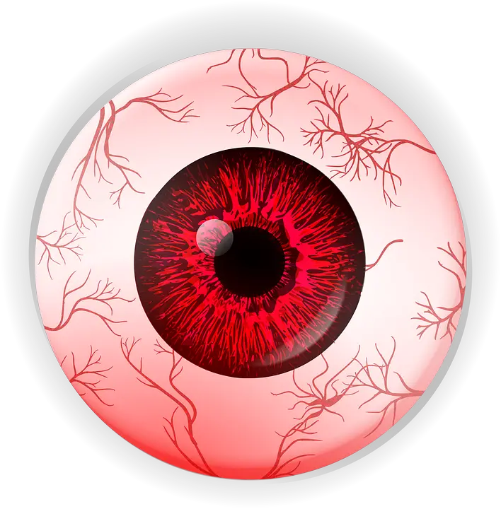 Eye Anatomy Png