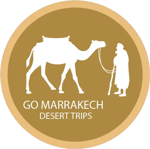 Ride A Camel In Marrakech Palm Grove Arabian Camel Png Camel Logo